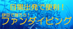 �ե�������ӥ�