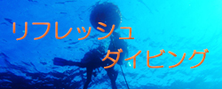 ��ե�å�������ӥ�
