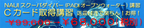 �饤���󥹼���