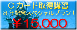 �饤���󥹼���SP�ץ��