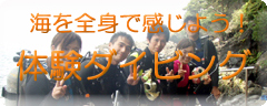 �θ������ӥ�